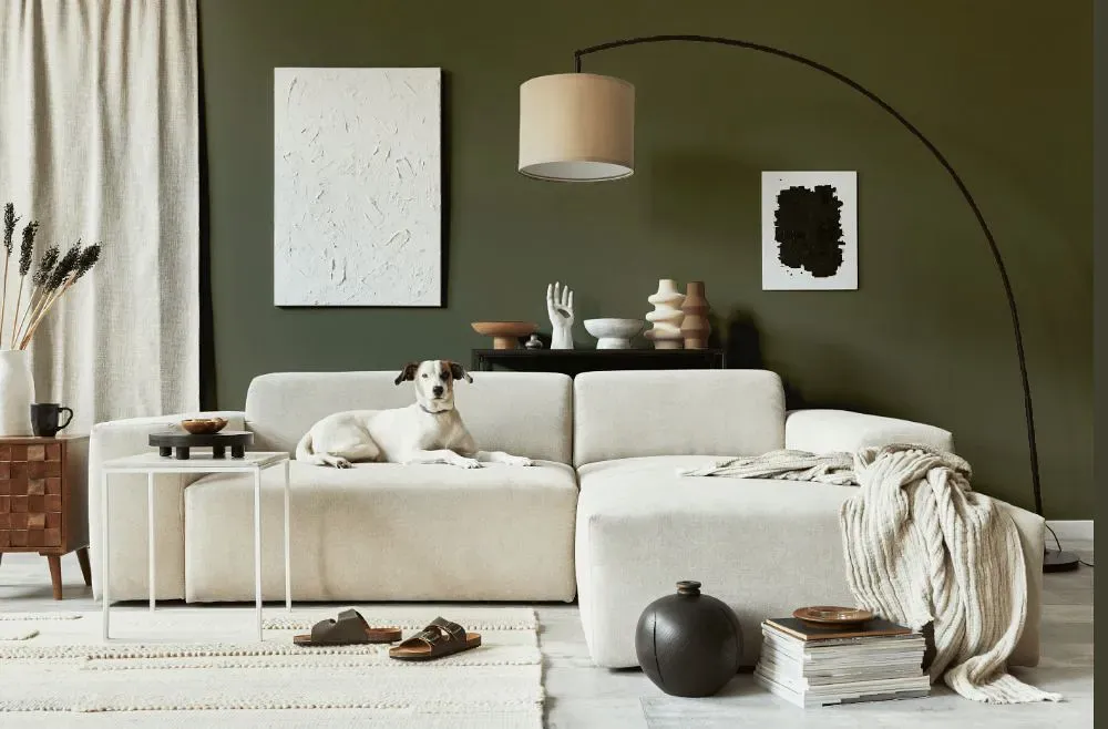 Benjamin Moore Army Green cozy living room