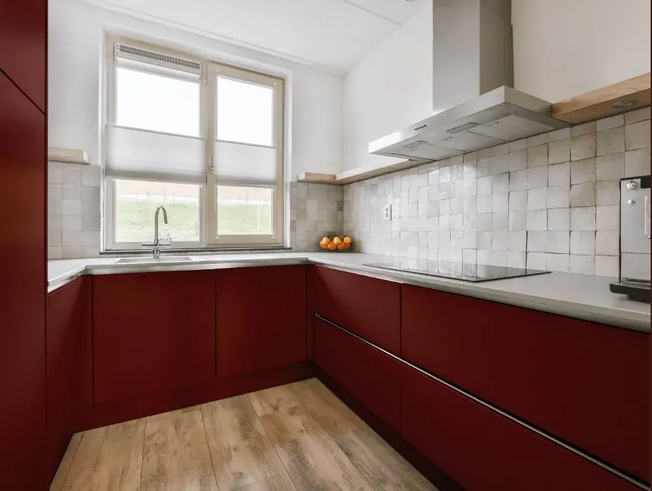 Benjamin Moore Arroyo Red small kitchen cabinets