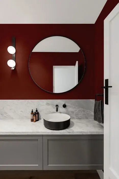 Benjamin Moore Arroyo Red minimalist bathroom