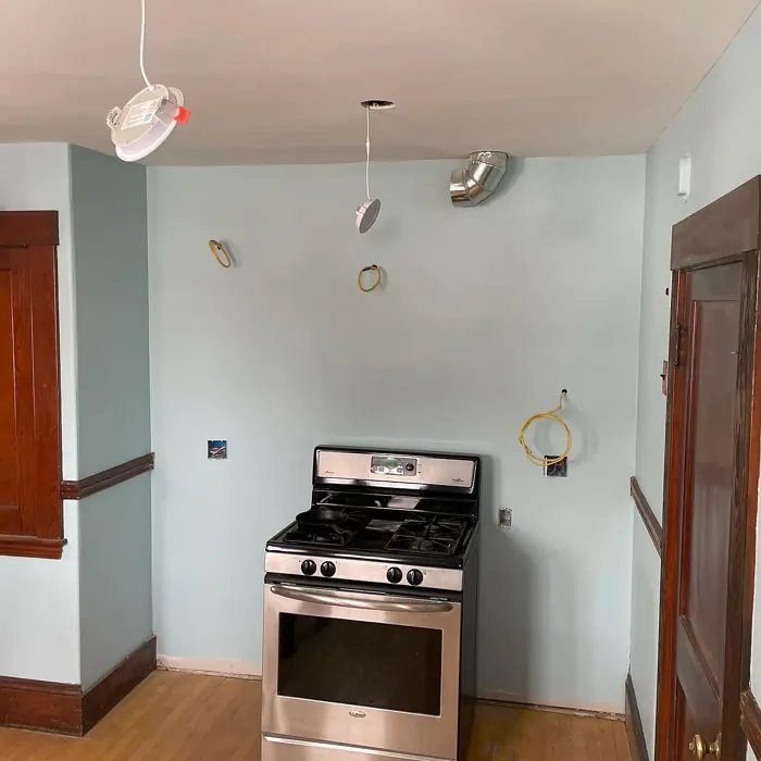 Benjamin Moore Ashwood Gray kitchen paint