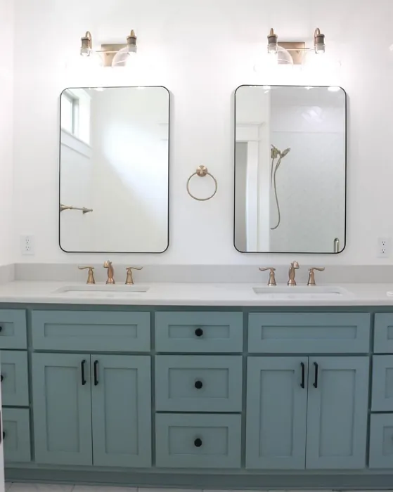 Benjamin Moore AF-500 bathroom vanity paint