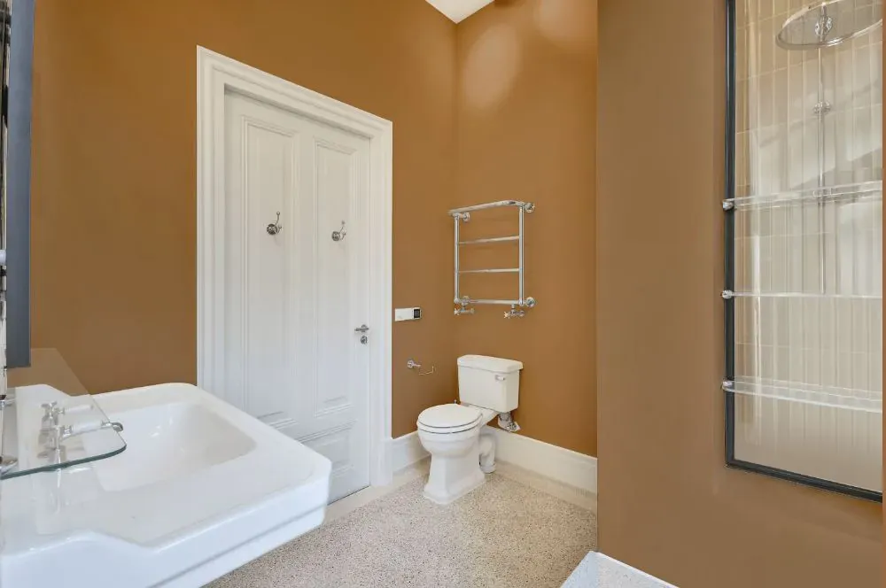 Benjamin Moore Autumn Leaf bathroom