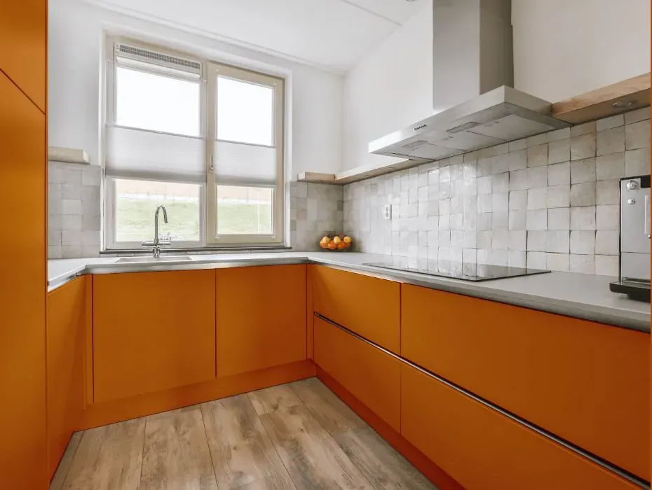 Benjamin Moore Autumn Orange small kitchen cabinets