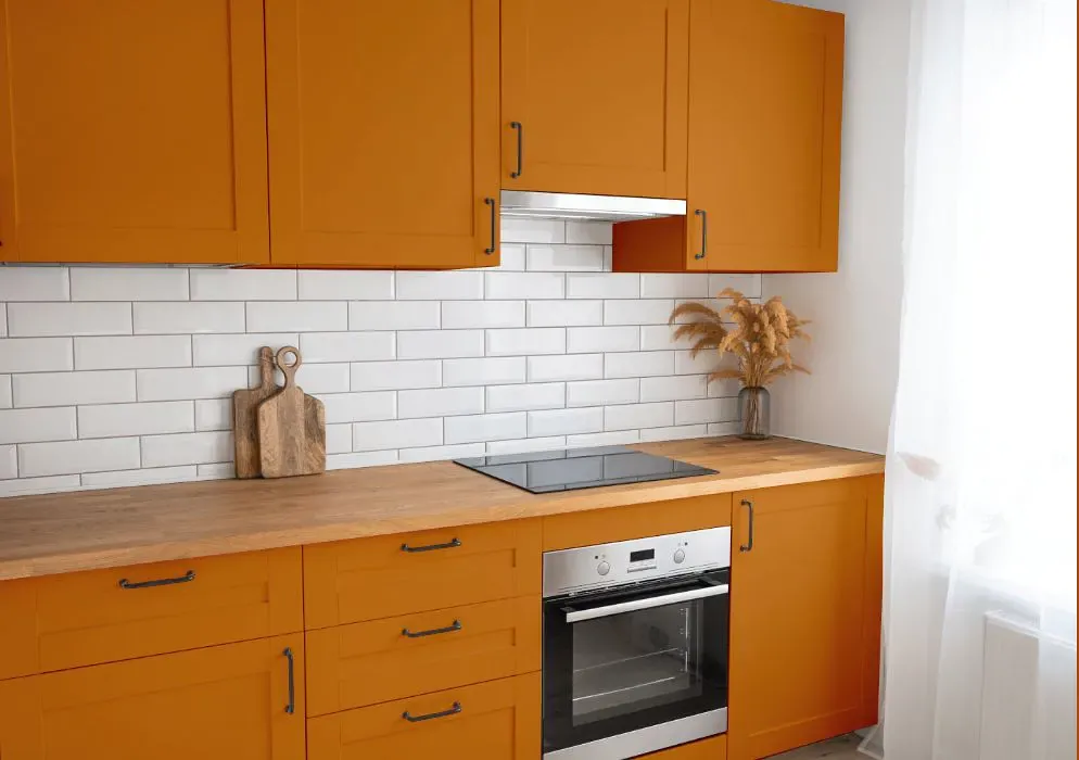Benjamin Moore Autumn Orange kitchen cabinets