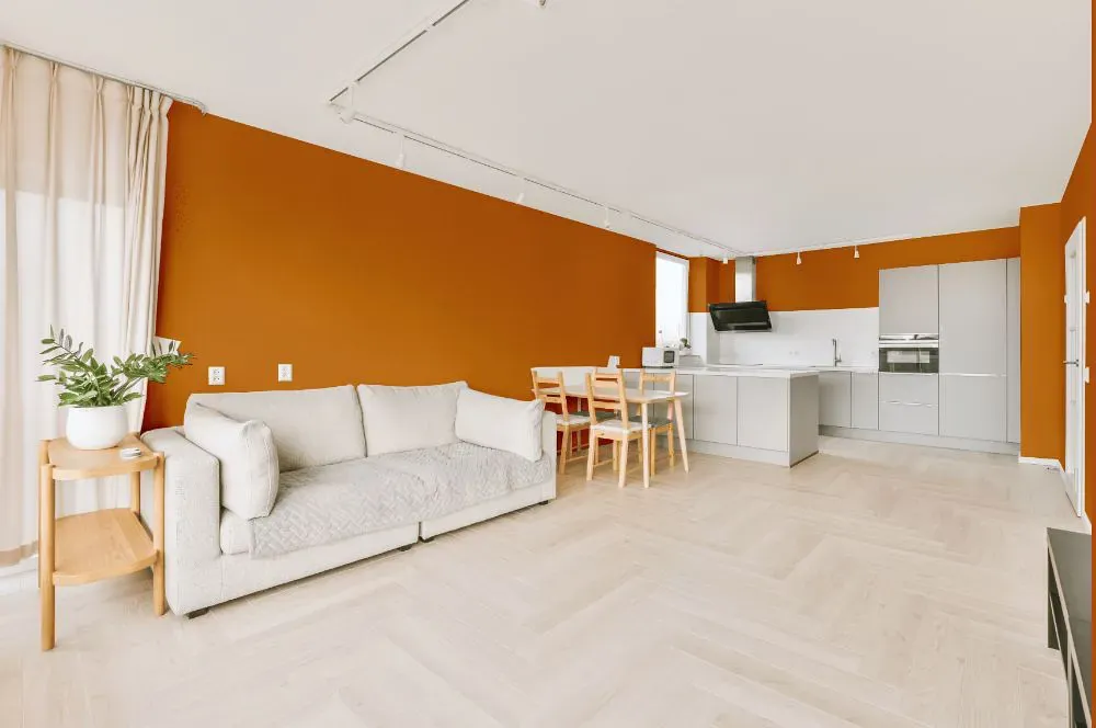 Benjamin Moore Autumn Orange living room interior