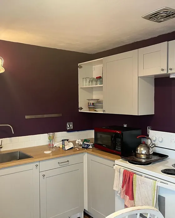 Benjamin Moore Autumn Purple Kitchen