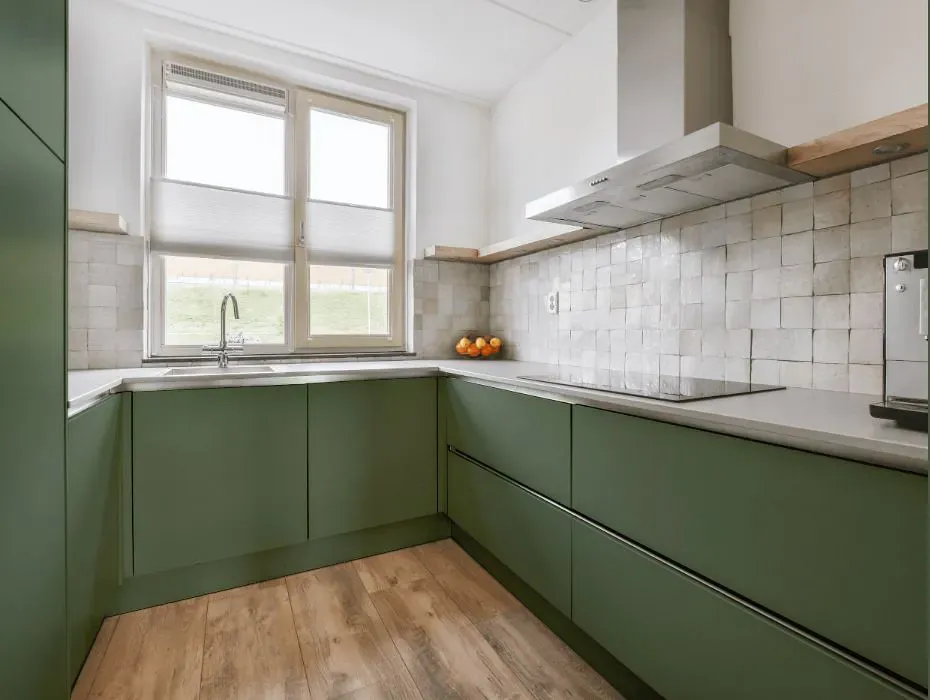 Benjamin Moore Avon Green small kitchen cabinets