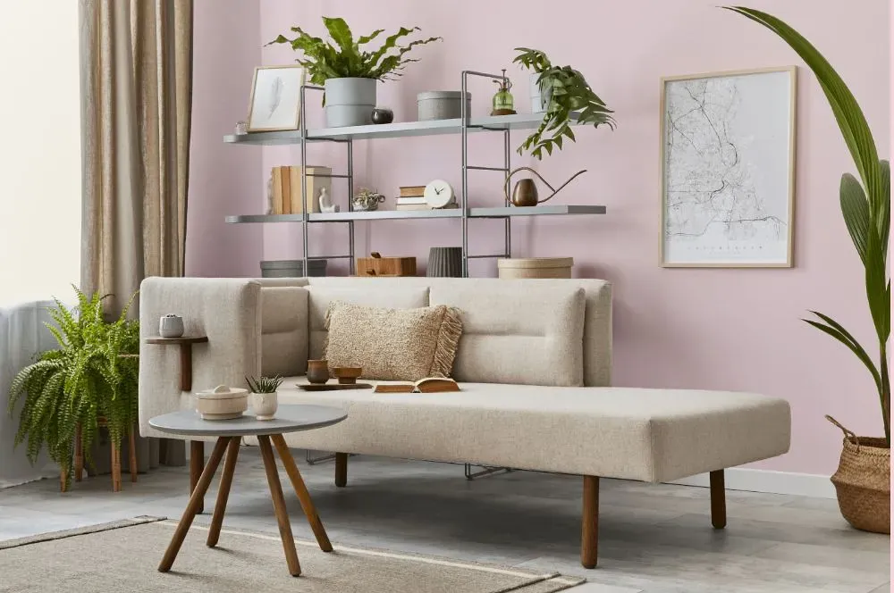 Benjamin Moore Baby Pink living room