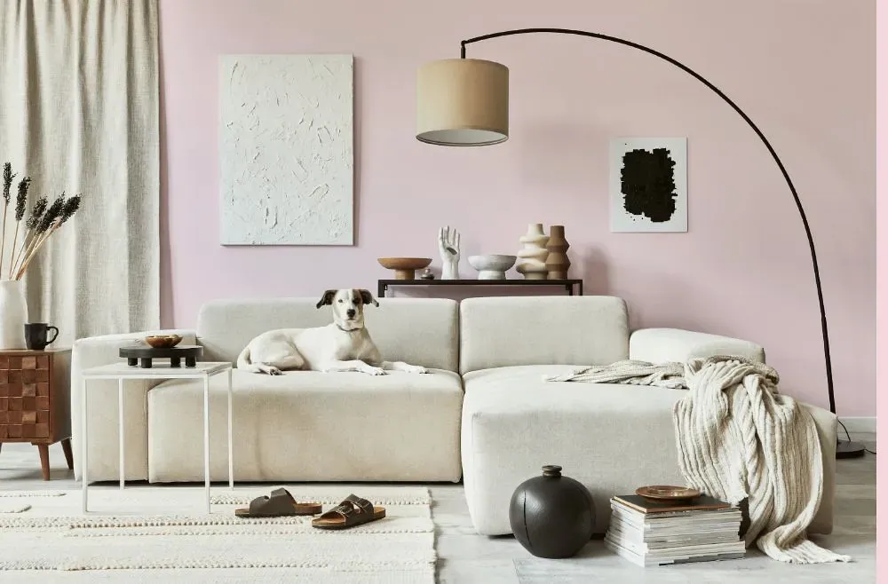 Benjamin Moore Baby Pink cozy living room