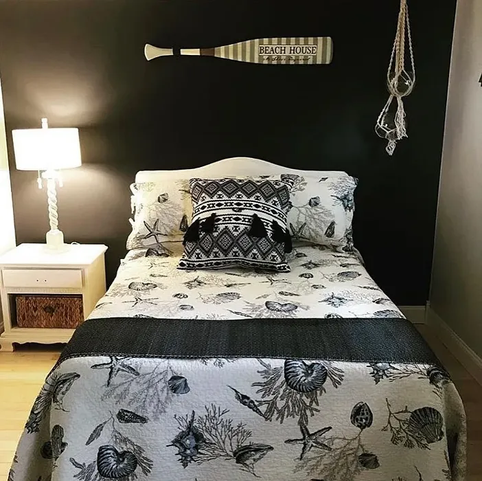 Baby Seal Black bedroom accent wall 