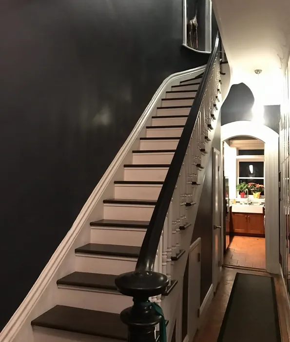 Benjamin Moore Baby Seal Black hallway 