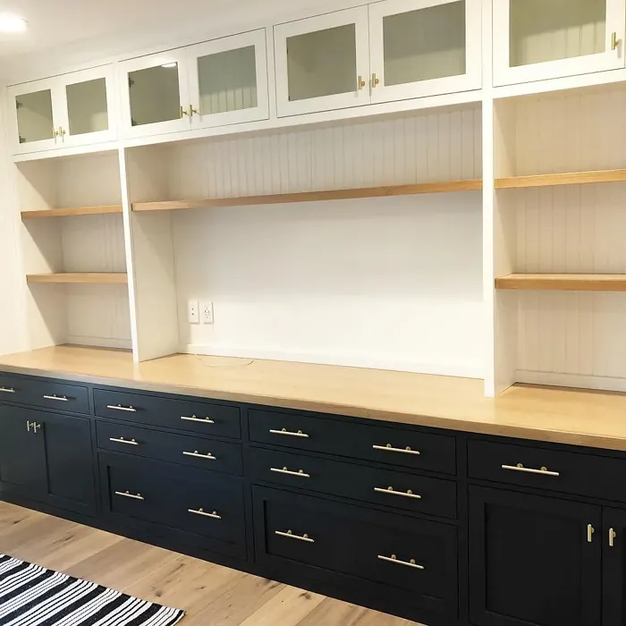 Baby Seal Black painted cabinets 