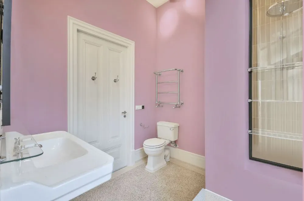 Benjamin Moore Baby's Mittens bathroom