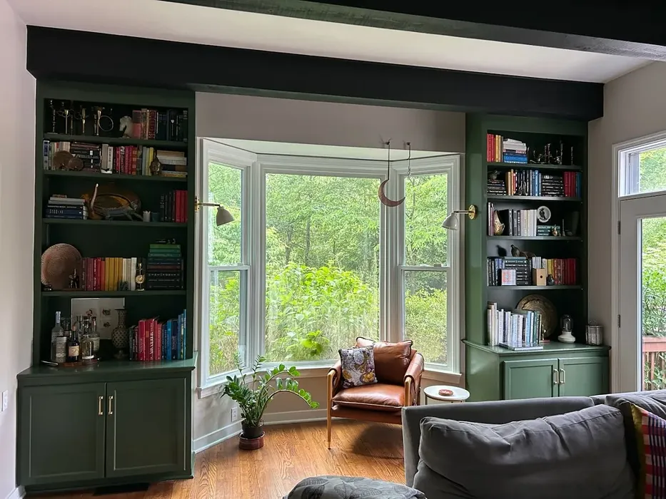 Benjamin Moore Backwoods painted storage review