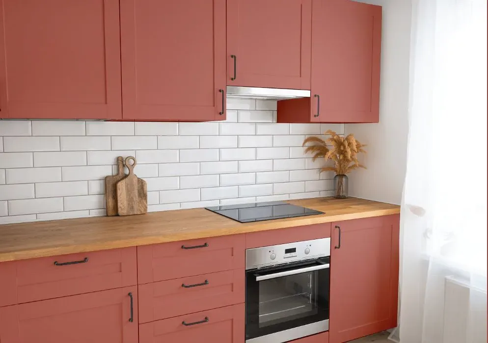 Benjamin Moore Badlands kitchen cabinets