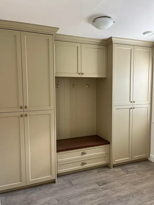 Benjamin Moore Baffin Island painted cabinets 