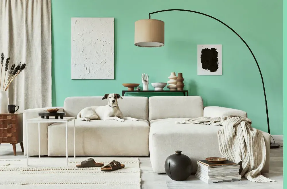 Benjamin Moore Bahama Waters cozy living room