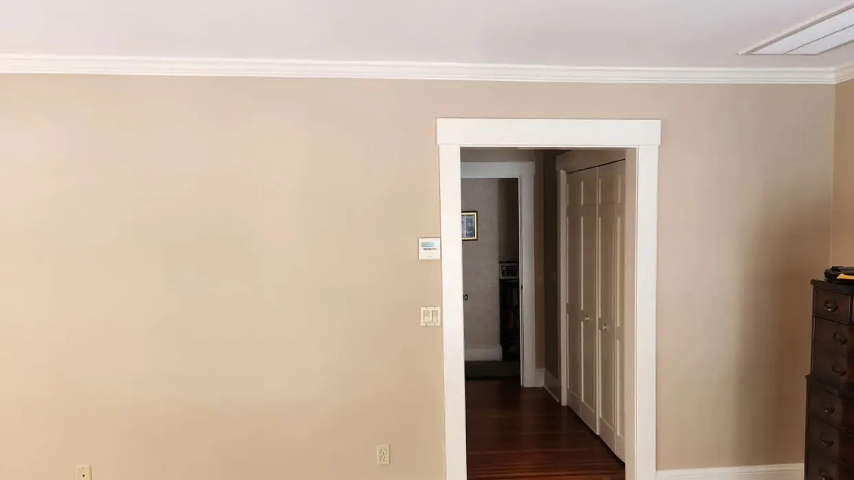 Bar Harbor Beige wall paint review