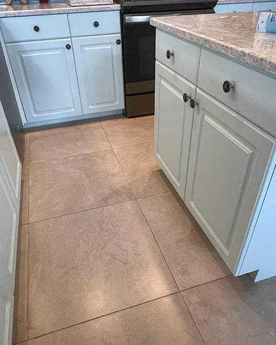 Barely Teal Kitchen Cabinets