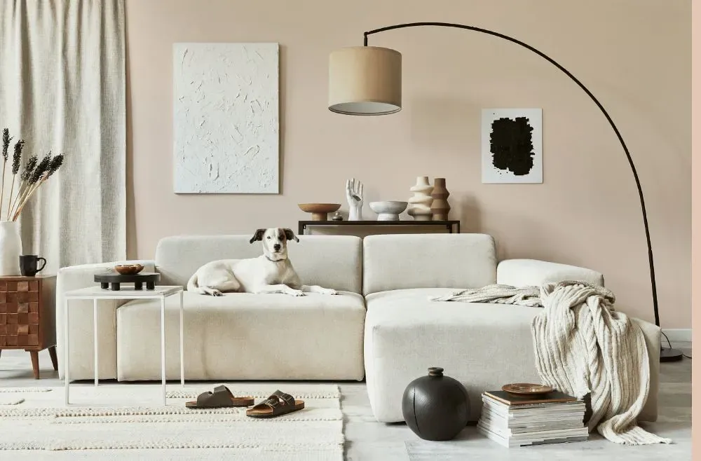 Benjamin Moore Bashful cozy living room