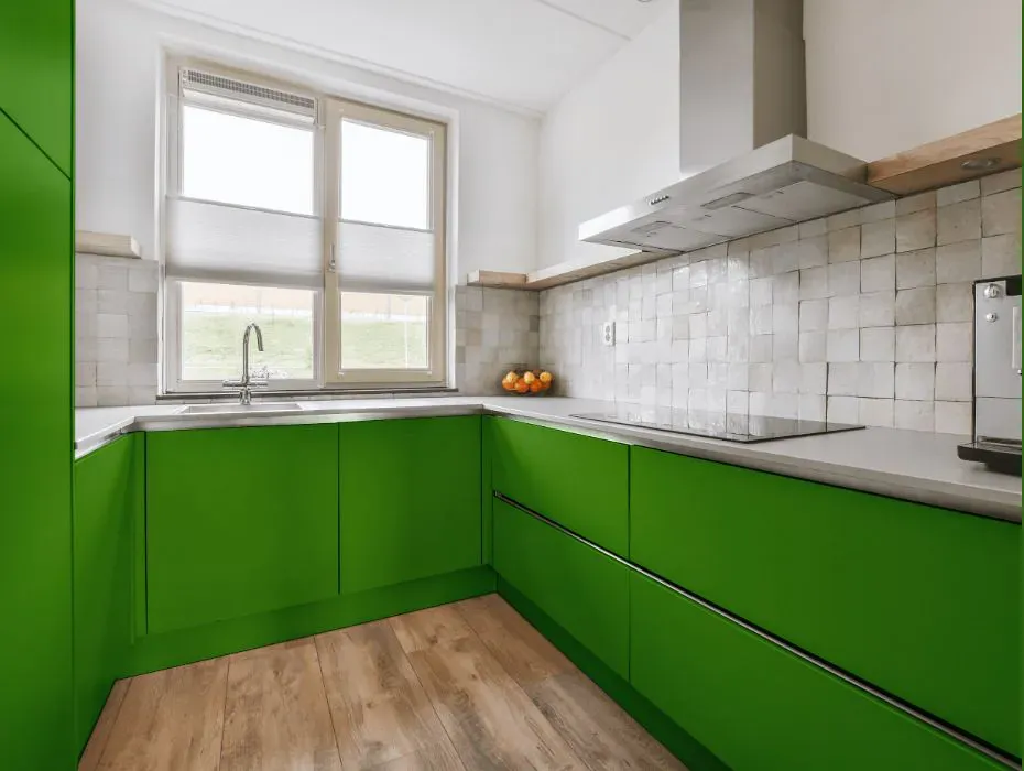 Benjamin Moore Basil Green small kitchen cabinets