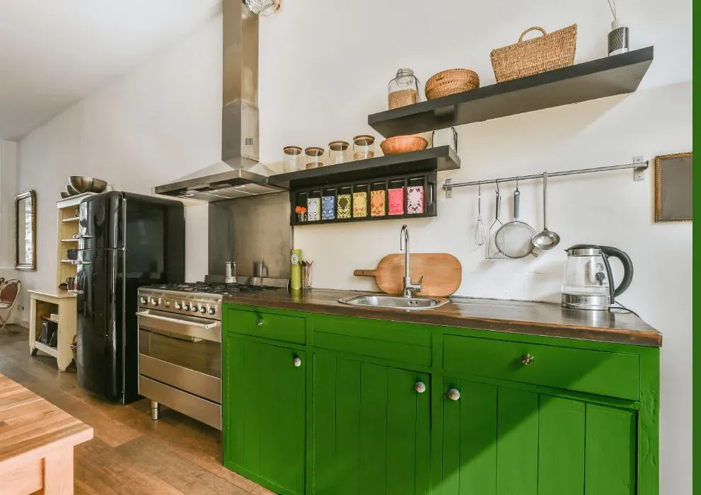 Benjamin Moore Basil Green kitchen cabinets