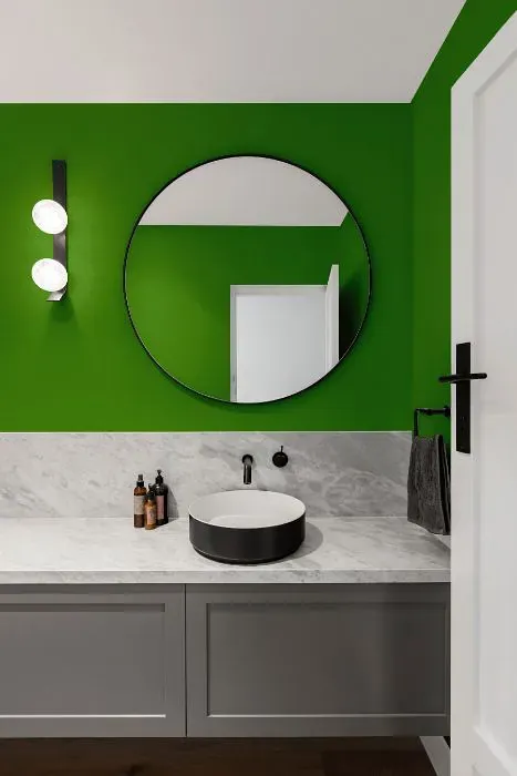 Benjamin Moore Basil Green minimalist bathroom
