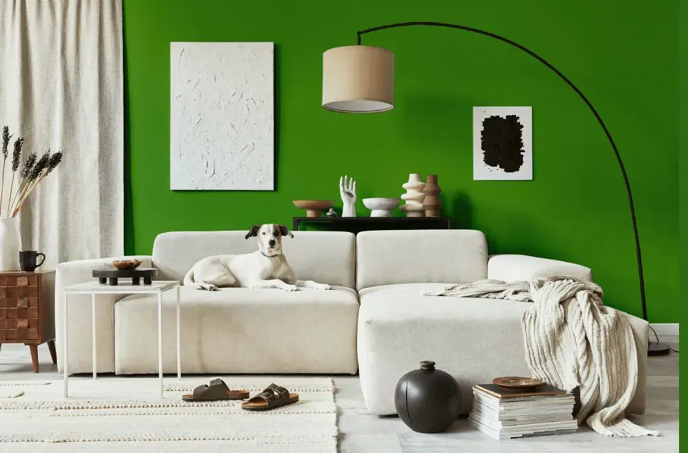 Benjamin Moore Basil Green cozy living room
