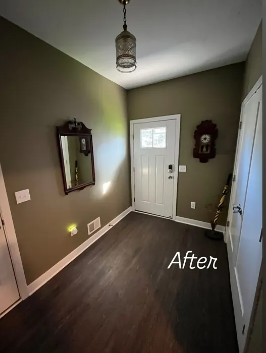 Benjamin Moore Bed of Ferns hallway color Benjamin Moore Bed of Ferns hallway color