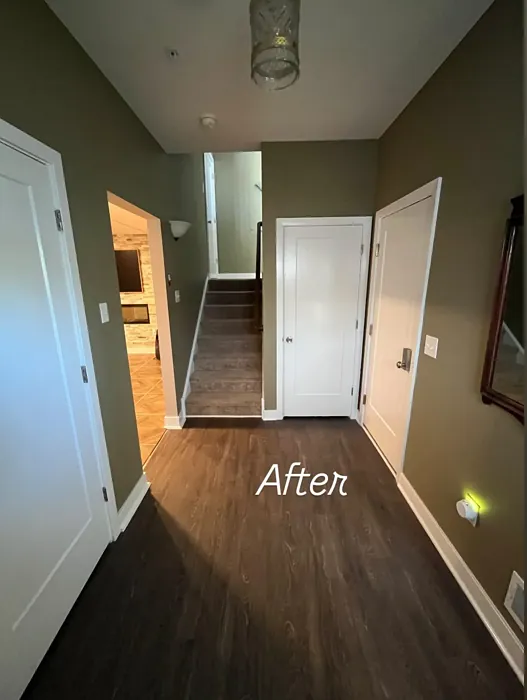 Benjamin Moore Bed of Ferns hallway makeover Benjamin Moore Bed of Ferns hallway makeover