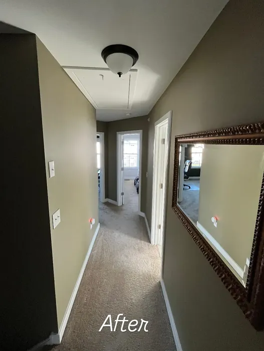 Benjamin Moore Bed of Ferns hallway paint review Benjamin Moore Bed of Ferns hallway paint review