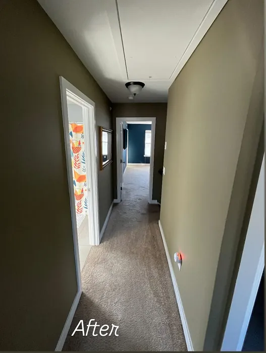 Bed of Ferns hallway paint review Bed of Ferns hallway paint review