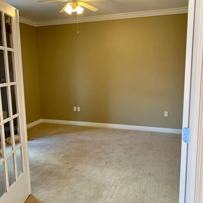 Bennington Gray wall paint color