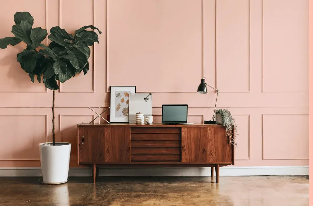 Benjamin Moore Bermuda Pink modern interior
