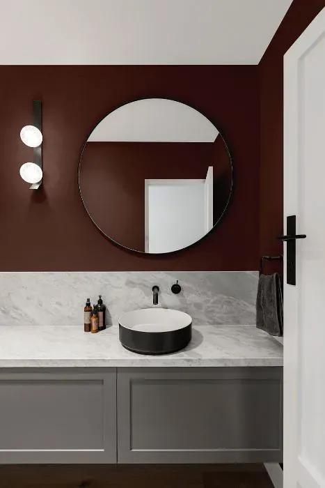 Benjamin Moore Bison Brown minimalist bathroom