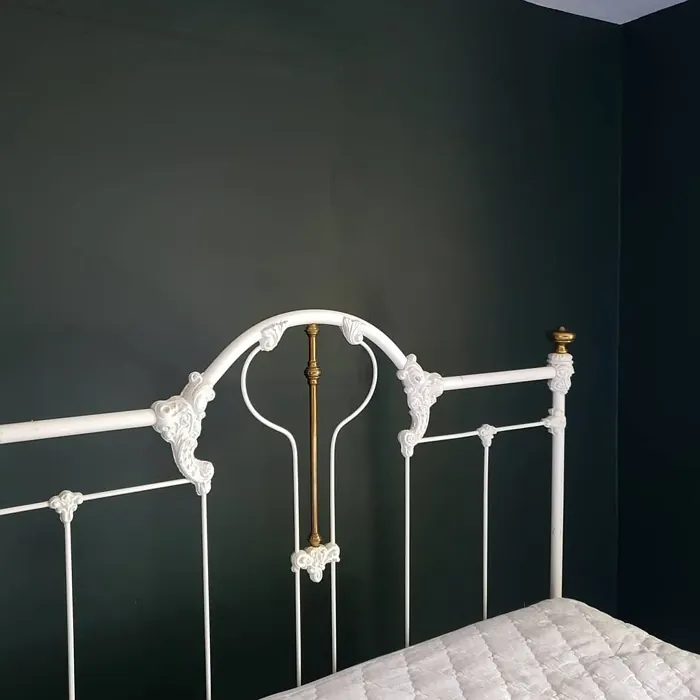 Benjamin Moore Black Forest Green bedroom color