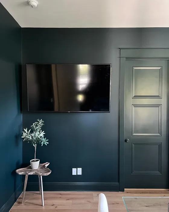 Benjamin Moore Black Forest Green home office color