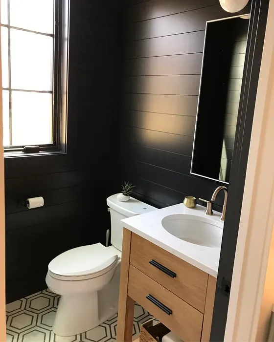 Benjamin Moore Black Jack cozy bathroom color
