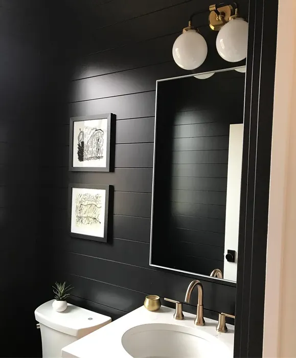 Benjamin Moore Black Jack modern bathroom color review