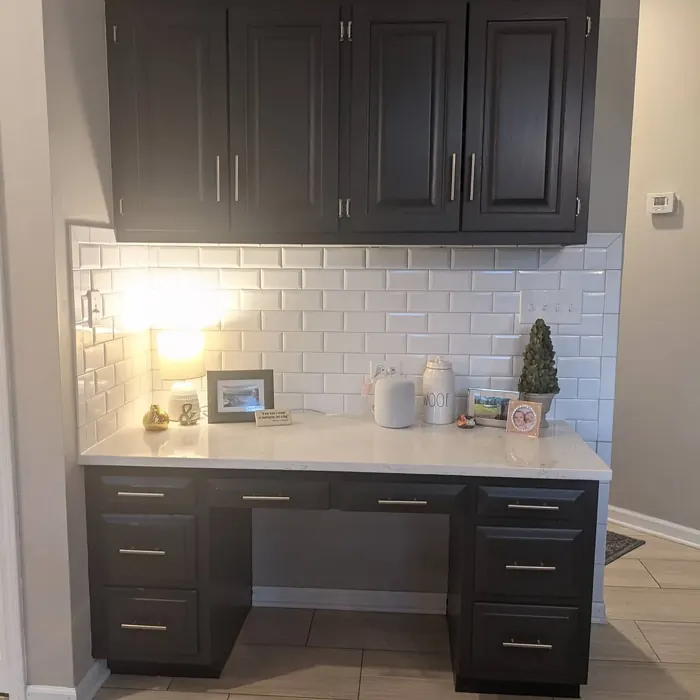 Benjamin Moore Black Panther kitchen cabinets paint