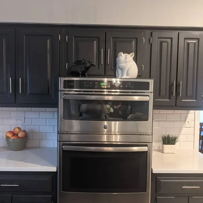 Black Panther kitchen cabinets paint