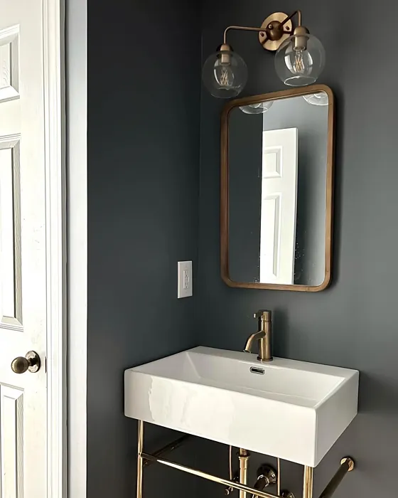 Benjamin Moore Black Pepper bathroom interior