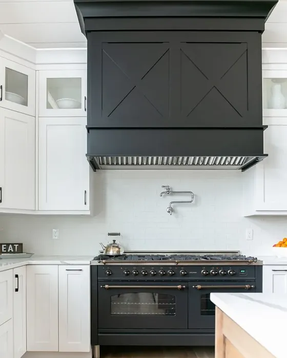 Benjamin Moore Black Tar kitchen cabinets paint review