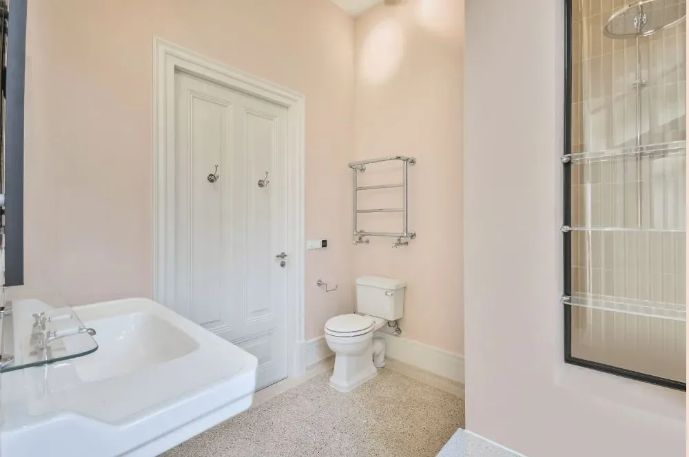 Benjamin Moore Blanched Coral bathroom