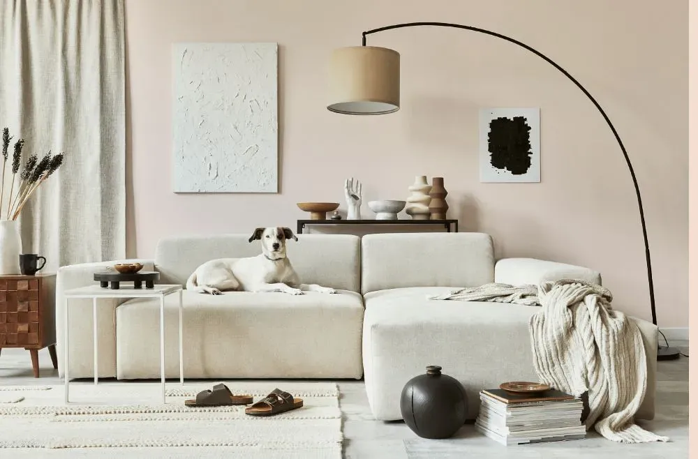 Benjamin Moore Blanched Coral cozy living room