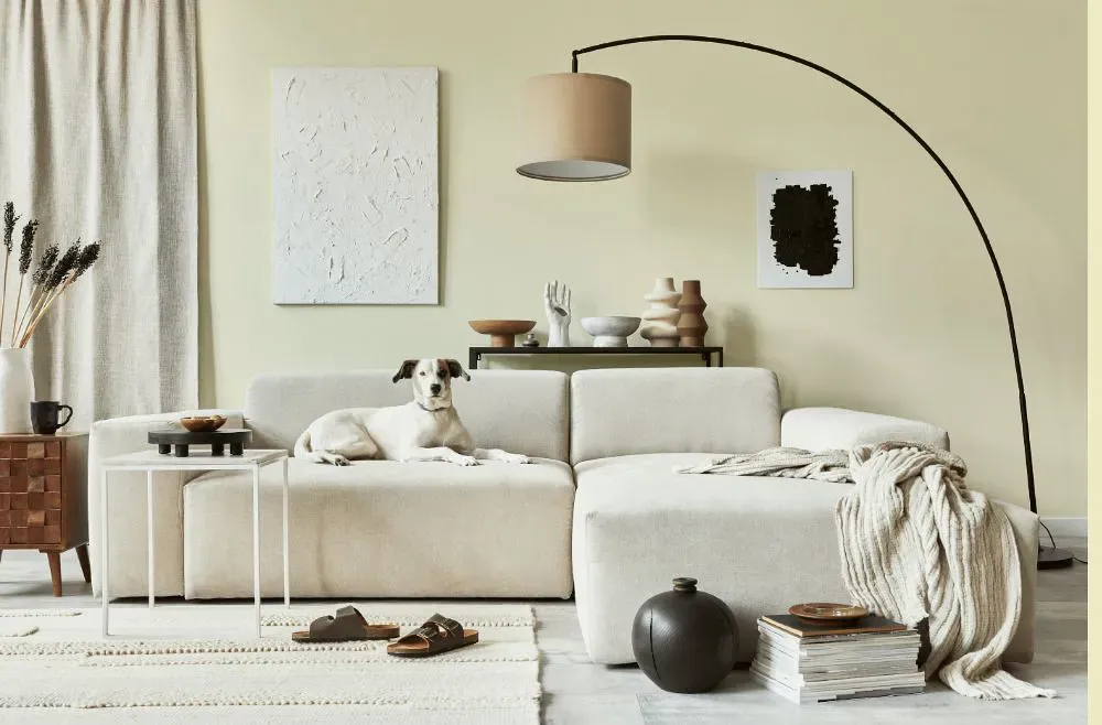 Benjamin Moore Blossom Tint cozy living room