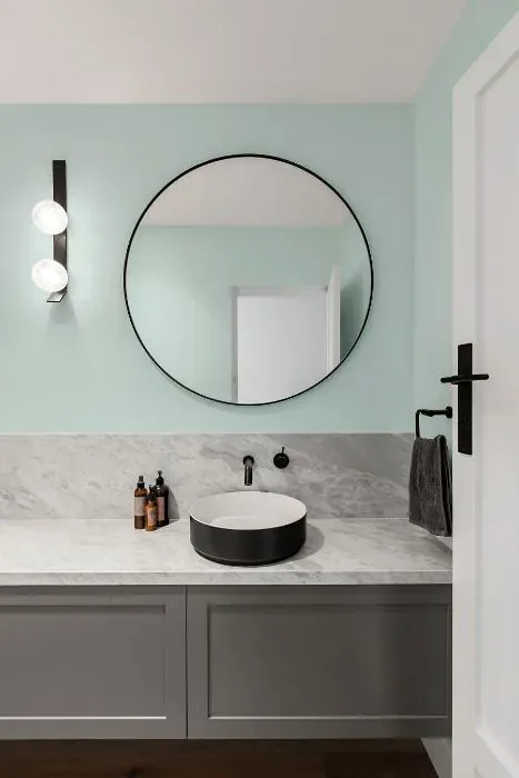 Benjamin Moore Blue Bonnet minimalist bathroom