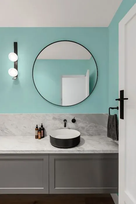 Benjamin Moore Blue Diamond minimalist bathroom