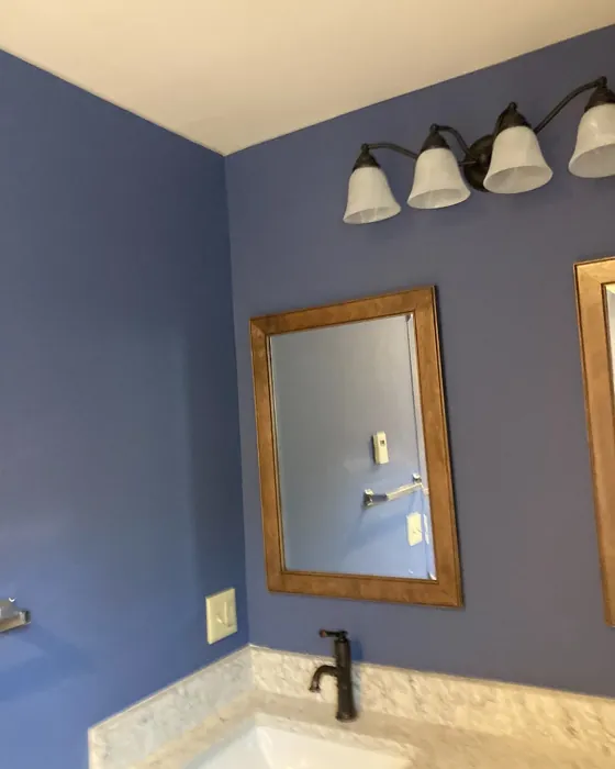 Benjamin Moore Blue Heron bathroom 