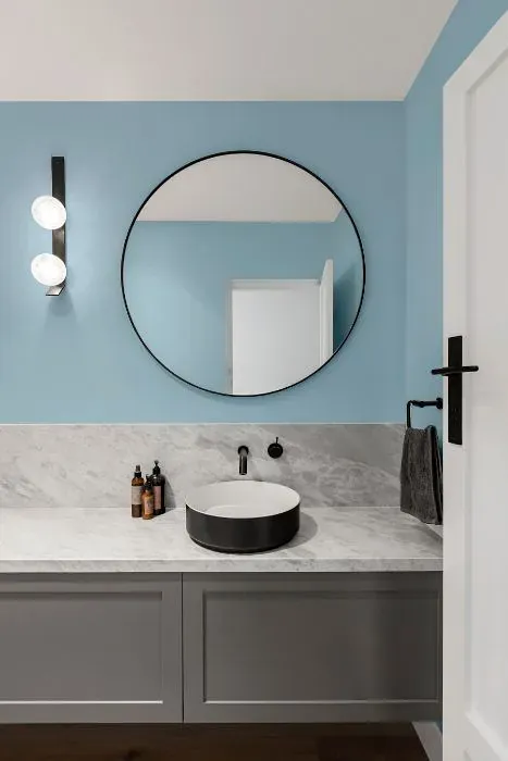 Benjamin Moore Blue Hydrangea minimalist bathroom